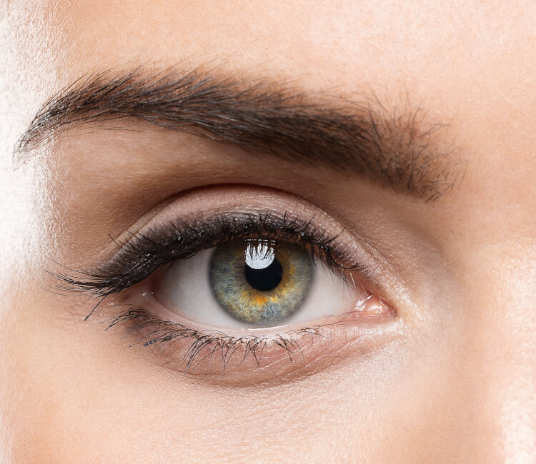 Permanent Makeup Brows